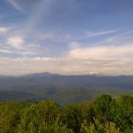 IMG_20210517_080556_resize_88.jpg