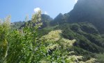 DSCN0345-3.jpg