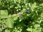 IMG-20210626-WA0034.jpg