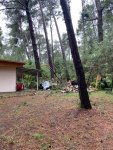 IMG-20210704-WA0020.jpg