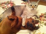 FB_IMG_1626772581513.jpg