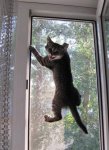 FB_IMG_1627239587018.jpg