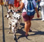 IMG_20210901_160853.jpg
