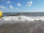IMG20210903151553_resize_15.jpg