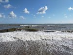 IMG20210903151602_resize_52.jpg