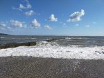 IMG20210903151612_resize_97.jpg