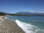 9597A342-86A8-41B0-9C5B-D3532007ACDF.jpeg