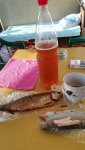 IMG_20210913_170855_resize_61.jpg
