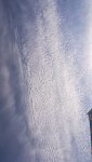 IMG_20210913_104632_resize_67.jpg