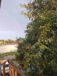 IMG20210824062228.jpg