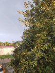 IMG20210824062351.jpg