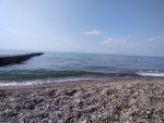 IMG20210824091054.jpg