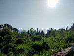 IMG20210824162335.jpg