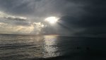 IMG_20210921_165439_resize_89.jpg