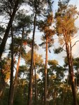 F7978454-5760-47DF-8F3F-BE85BC2B2C56.jpeg