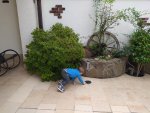 IMG_20210929_115038_resize_74.jpg