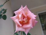 IMG_20210929_115027_resize_49.jpg
