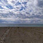 IMG_20211005_124327_resize_20.jpg