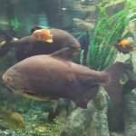 IMG_20211007_102102_resize_56.jpg