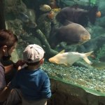IMG_20211007_102046_resize_6.jpg