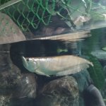 IMG_20211007_102258_resize_6.jpg