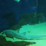 IMG_20211007_105904_resize_6.jpg