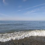 IMG_20211008_095924_resize_68.jpg