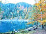 IMG_20211025_231311_resize_95.jpg