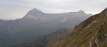 IMG_7469.jpg