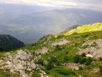 IMG_20210819_173136_932.jpg