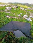 IMG_20210820_060706_854.jpg