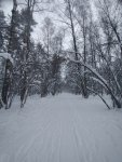 IMG20220105153101_compress62.jpg