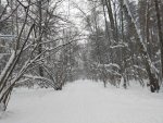 IMG20220105153035_compress58.jpg
