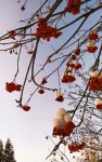 IMG_20220112_112753_compress67.jpg