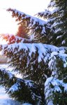 IMG_20220112_112854_compress21.jpg