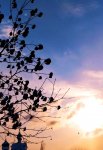 IMG_20220112_113021_compress41.jpg