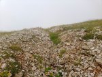 IMG_20210821_095758_620.jpg
