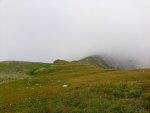 IMG_20210821_104857_268.jpg