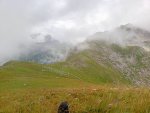 IMG_20210821_110540_152.jpg