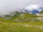 IMG_20210821_112429_891.jpg
