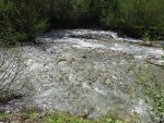 IMG_4349.JPG