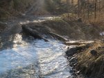IMG_4401.JPG