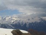 IMG_4490.JPG