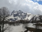 IMG_4539.JPG