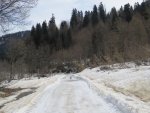IMG_4598.JPG