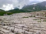 IMG_20210821_163441_189.jpg