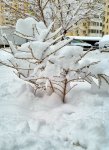 IMG_20220122_121524 Краснодар.jpg