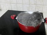 FB_IMG_1642926594435.jpg