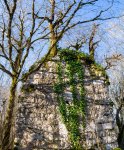 P1080153-Панорама.jpg