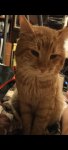 Screenshot_2022-01-26-19-04-49-66_resize_31.jpg